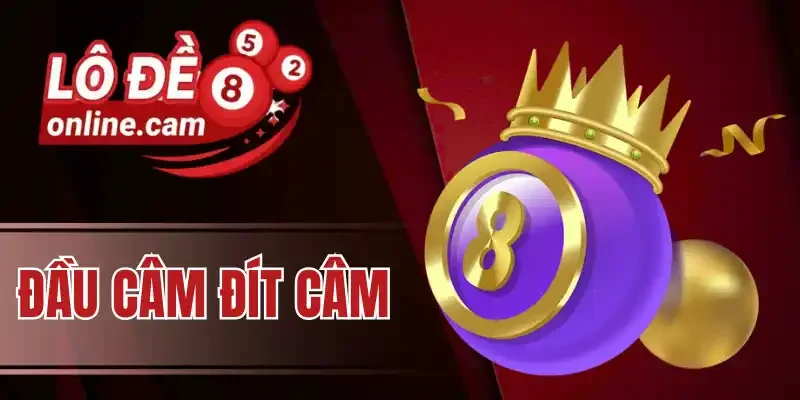 Hai phương pháp đánh lô theo đầu đít câm