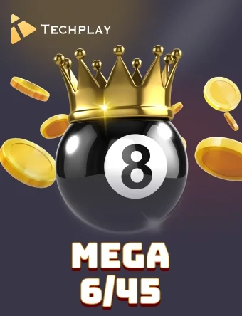 techplay mega 645 portrait